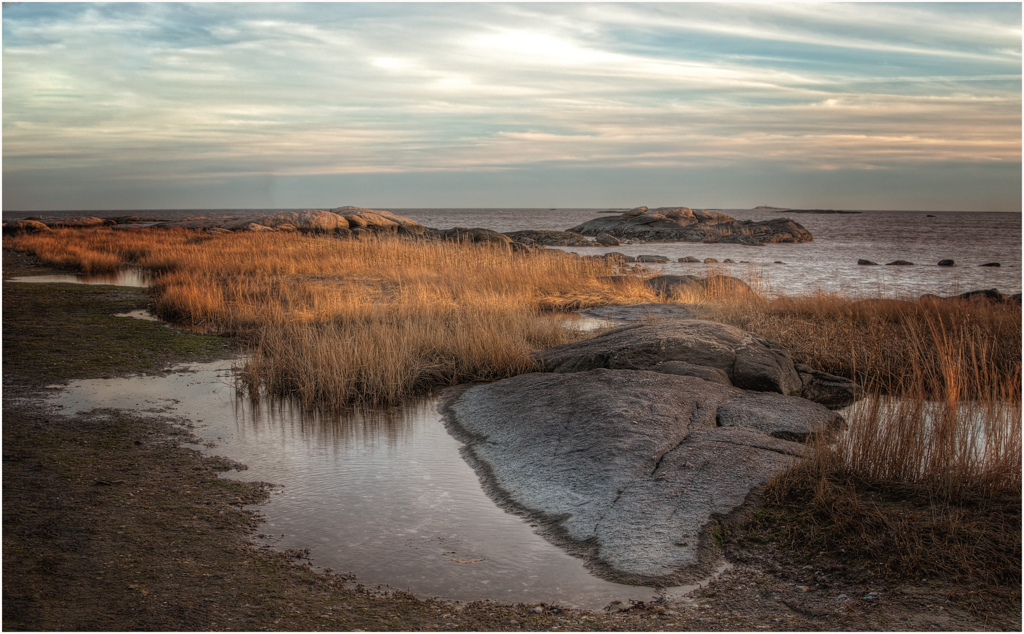 Nature In Class M By Cindy ONeil For Chaffinch Island JAN-2019.jpg